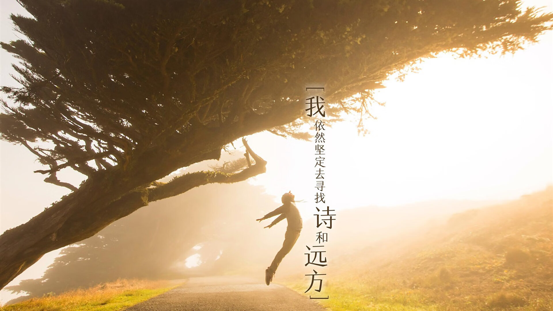 英超球队利用运动生理数据优化赛季恢复计划,英超球员数据统计