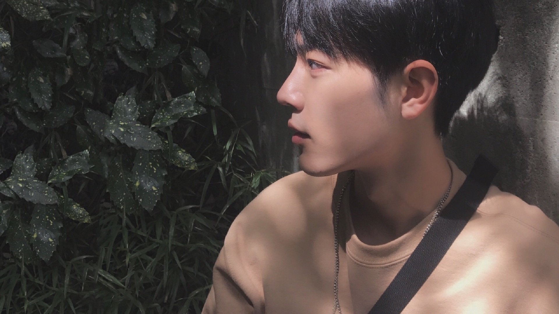 青训球员晋升机制不具备可持续性,青训球员定义