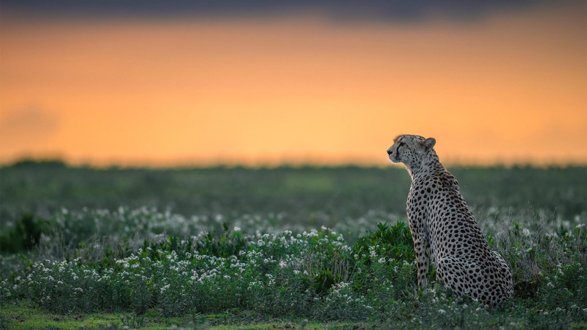 中立代表队B决赛表现超出预期,比赛中立是什么意思