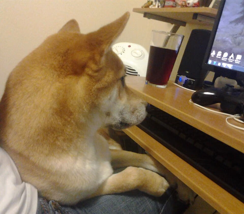 史密斯决赛冲刺阶段爆发惊艳全场,史密斯比赛视频