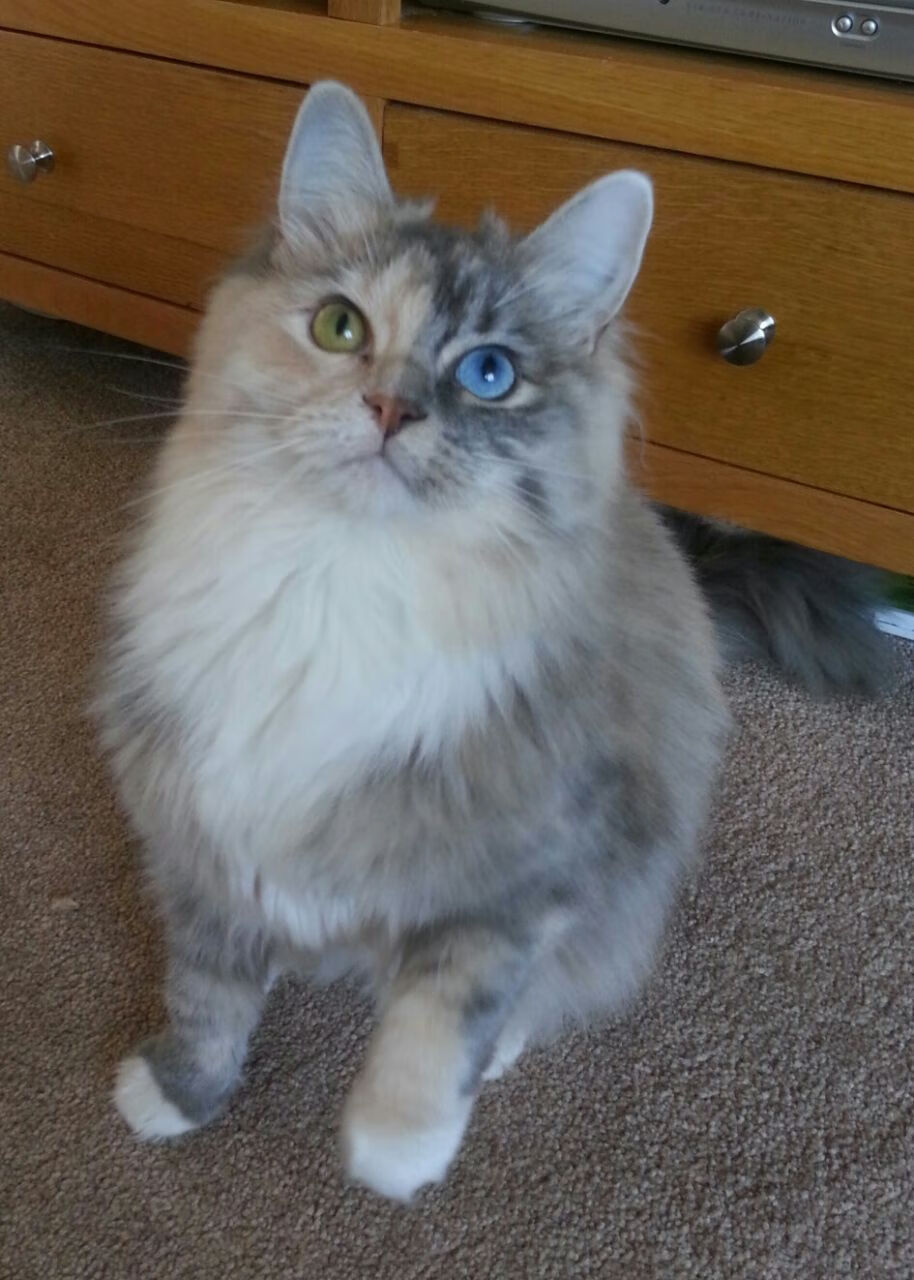 库里赛后总结比赛称要及时复盘,库里复出23分