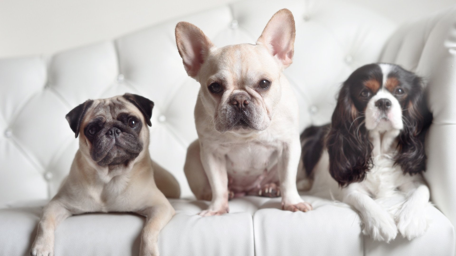 短暂休整结束球队重返训练场开启备战新阶段,重返球场的句子