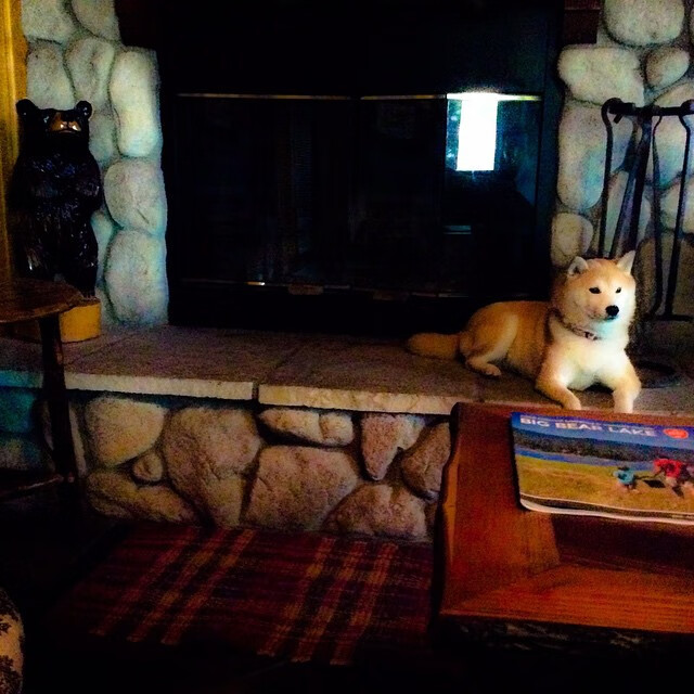 跳水选手姿态优雅瑞士获认可，瑞士跳水女选手