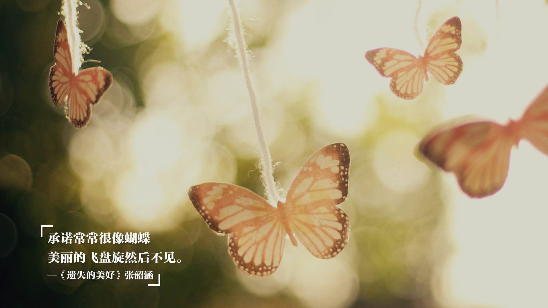 跳水选手姿态优雅瑞士获认可，瑞士跳水女选手