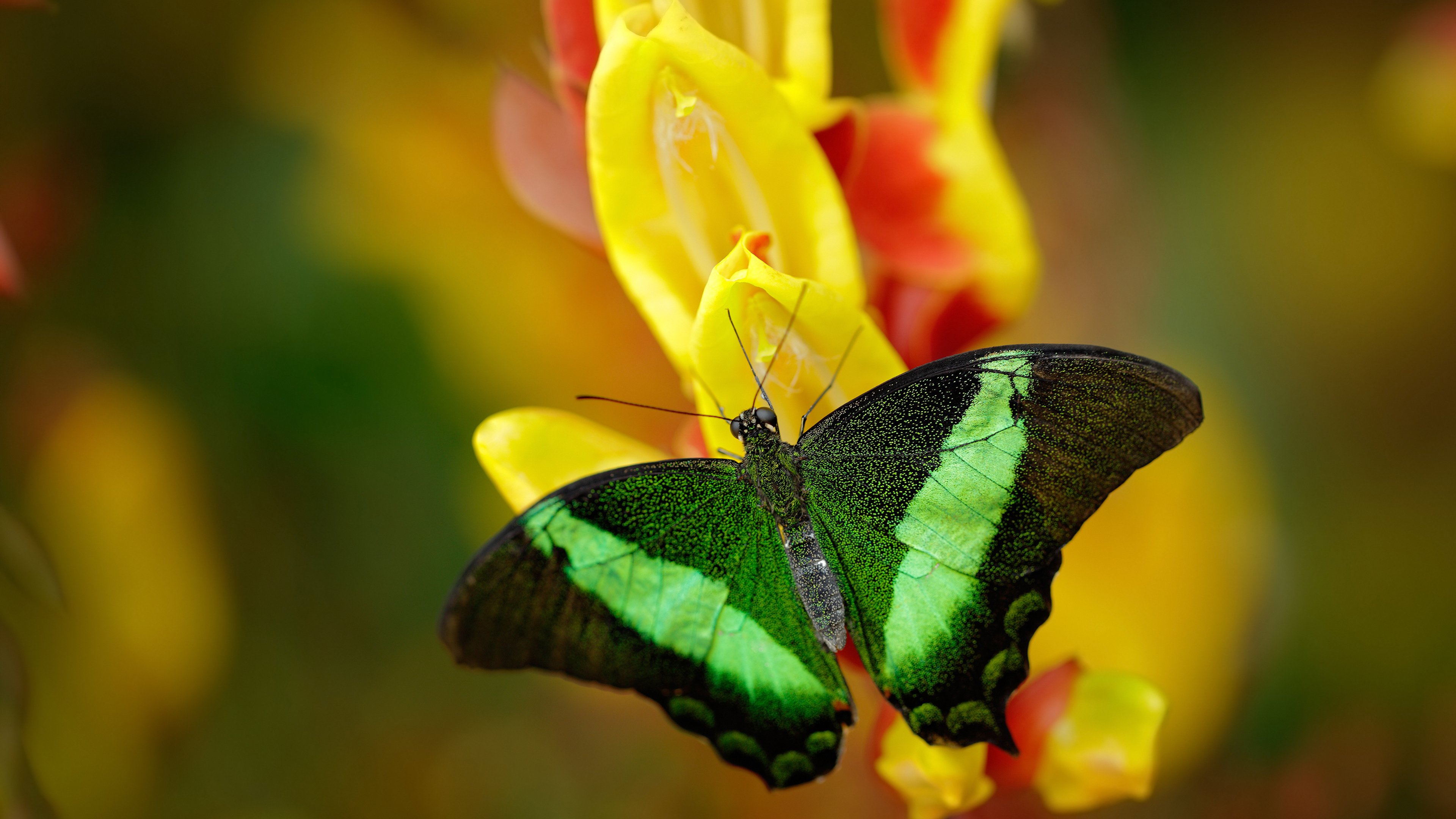 华体会app-两大能源企业战略联姻，5 家上市公司牵连，我国能源行业上市公司
