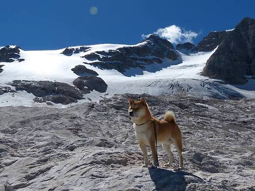 华体会-中国篮球如何提升赛事组织的专业化水平，当前中国篮球运动推进职业化进程的关键